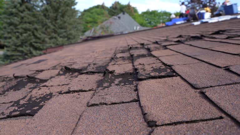 Steel Roofing