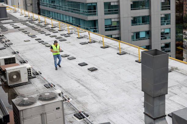 Best Rubber Roofing (EPDM, TPO)  in Mount Olive, AL
