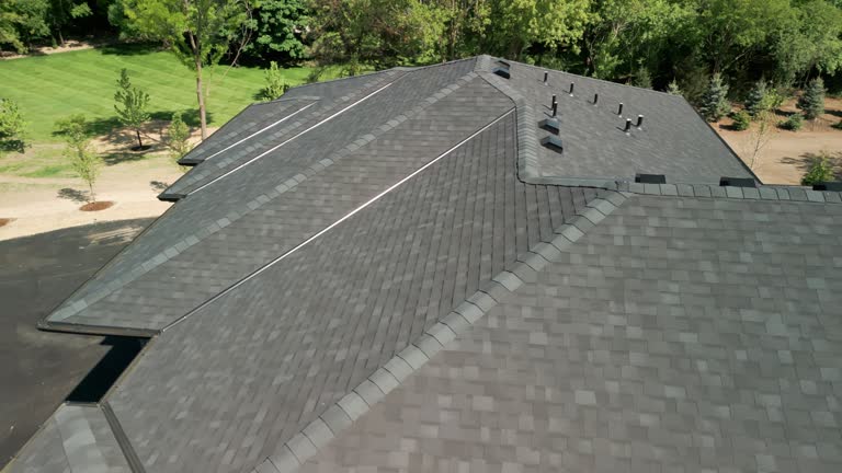 Best Roof Insulation Installation  in Mount Olive, AL