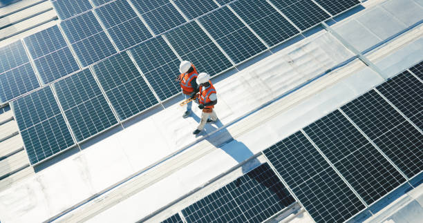 Best Roof Maintenance and Cleaning  in Mount Olive, AL