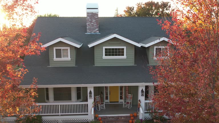 Best Skylight Installation and Repair  in Mount Olive, AL