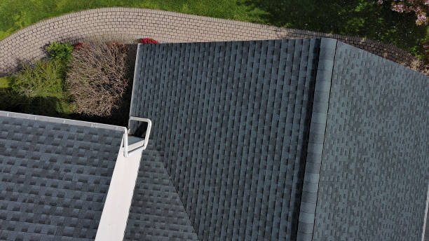 Professional Roofing Service in Mount Olive, AL