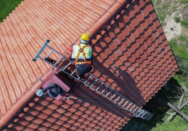Best Gutter Installation and Repair  in Mount Olive, AL