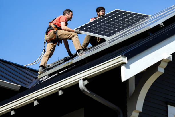 Best Roof Maintenance and Cleaning  in Mount Olive, AL