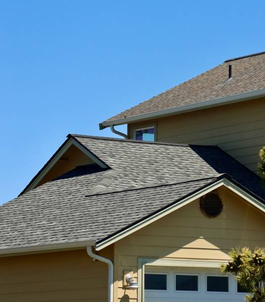 Best Roof Moss and Algae Removal  in Mount Olive, AL